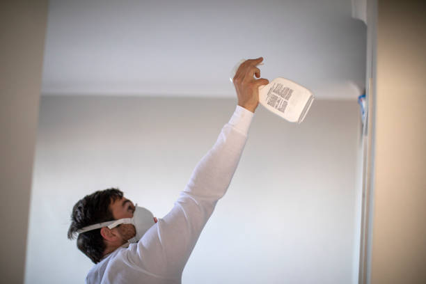 Best Best Mold Removal Companies  in Goulding, FL