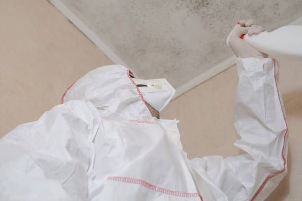 Best Office Mold Removal Services  in Goulding, FL